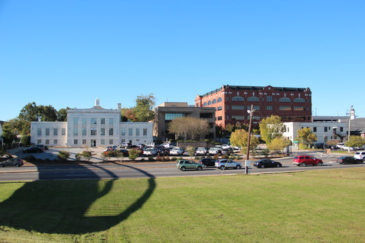 Get to Know Local Influencers: Gainesville Now