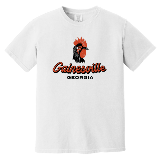 Gainesville Heavyweight Garment-Dyed T-Shirt