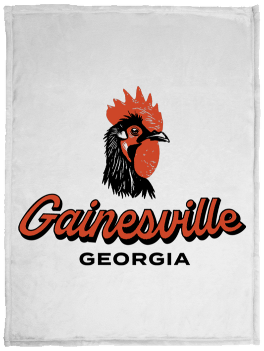 Gainesville Cozy Plush Fleece Blanket - 30x40