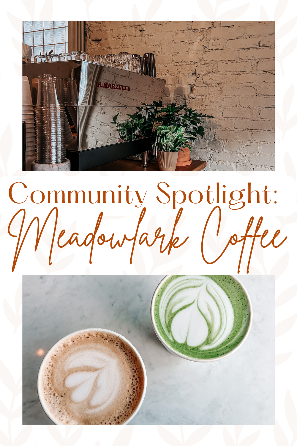 Community Spotlight: Meadowlark Coffee