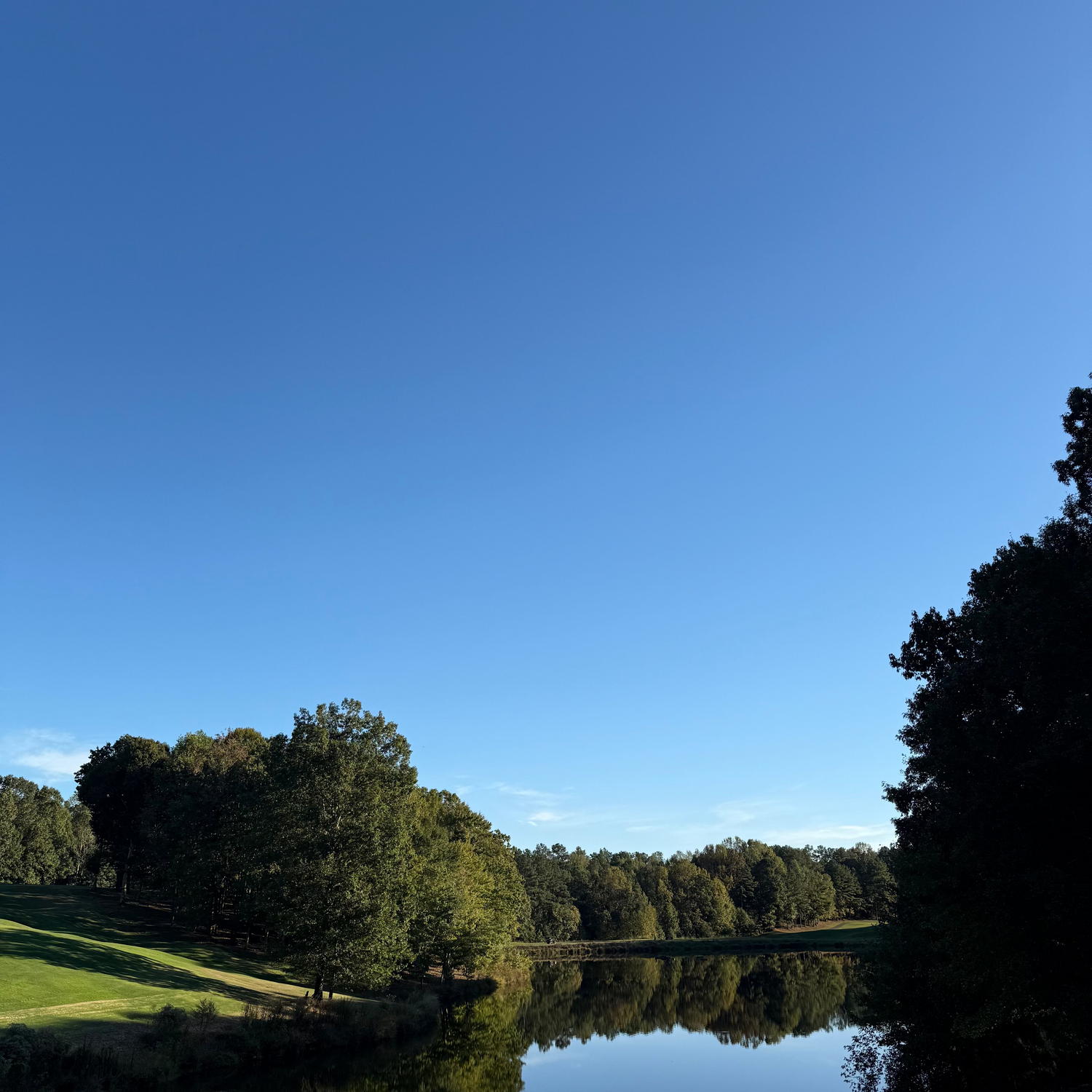 A scenic landscape photograph featuring a calm lake reflecting trees and a clear blue sky, with grassy fields and dense forest in the background.